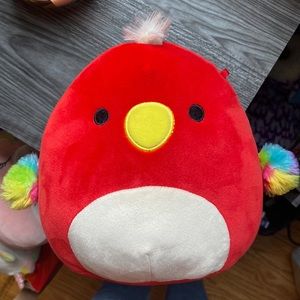 Red Parrot Squishmallow